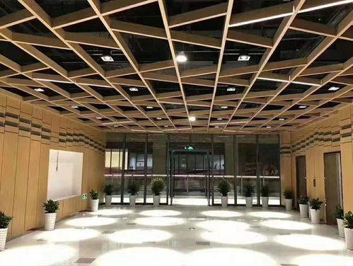 臨沂市蘭山區辰東裝飾材料廠產品展示