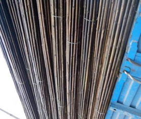 廠家直銷竹子,表觀密度好