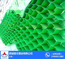 生產廠家 圖 蜂巢土工格室價格 蜂巢土工格室